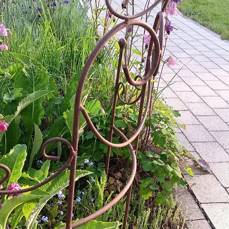 Engelsthann * Hilders