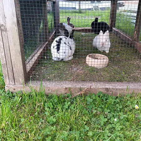 Apartment Engelsthann *