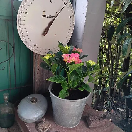 Engelsthann Apartment Hilders