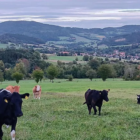 Engelsthann 公寓 Hilders