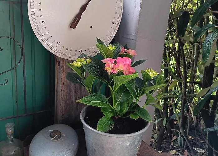 Engelsthann Apartmán Hilders