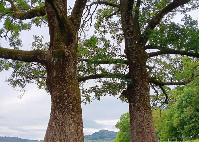 Apartmán Engelsthann